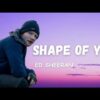 Ed Sheeran – Shape of You (Official Music Video)