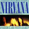 Nirvana – Smells Like Teen Spirit (Official Music Video)