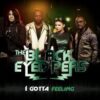 The Black Eyed Peas – I Gotta Feeling (Official Music Video)