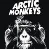Arctic Monkeys – R U Mine? (Official Video)