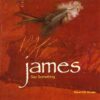 James – Sometimes (Official Video)