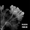 Pearl Jam: Νέο EP για το “The Last Of Us”