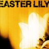 Οι U2 επιστρέφουν με το “Easter Lily”
